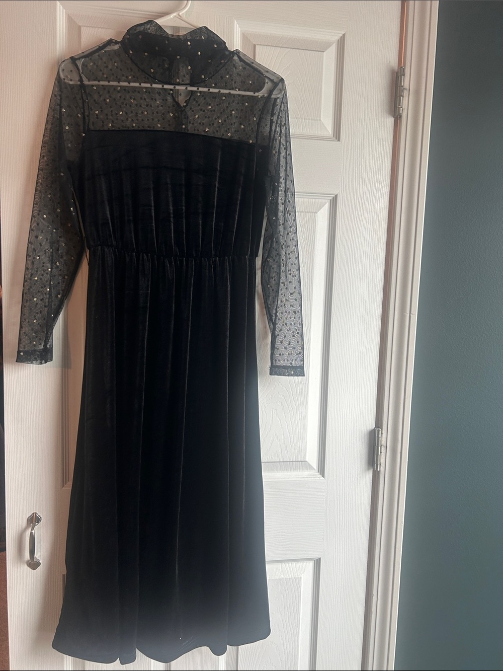 Black Velvet and Sheer Gold Dot Dress